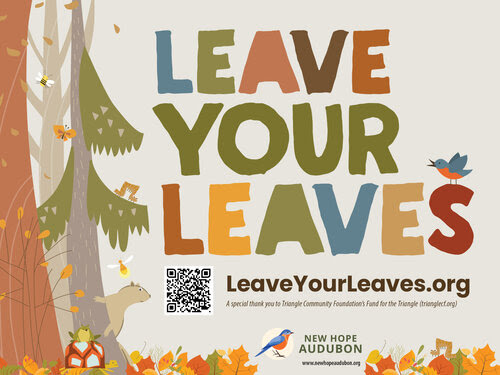 poster of the Leave Your Leaves campaign