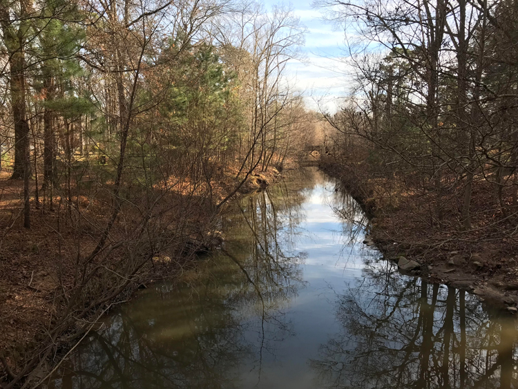 Ellerbee Creek - Photo by Angel Romero