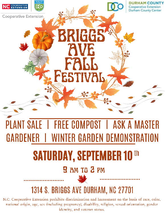 Briggs Avenue Fall Festival poster