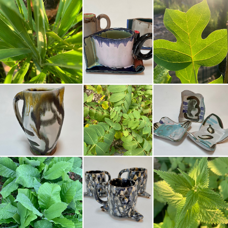 Plant and Pottery Sale