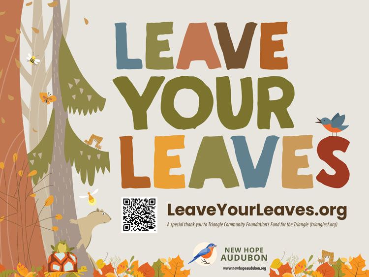 Leave Your Leaves poster