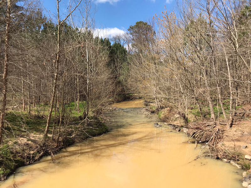 Ellerbee Creek in March 2024, Northgate Park, Durham - Photo by Angel Romero