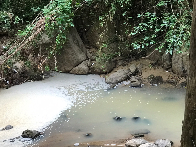 Ellerbee Creek contamination in September 9 2024